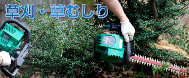 草仮・草むしりに関するお問い合わせは岩手便利屋.comまでお問い合わせ下さい。